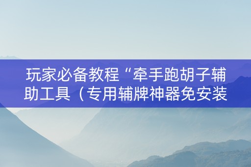 玩家必备教程“牵手跑胡子辅助工具（专用辅牌神器免安装）
