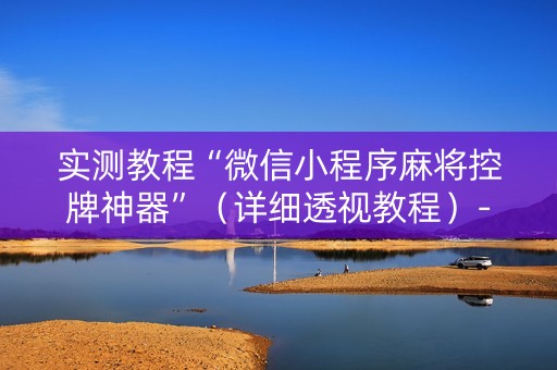 实测教程“微信小程序麻将控牌神器”（详细透视教程）-哔哩哔哩
