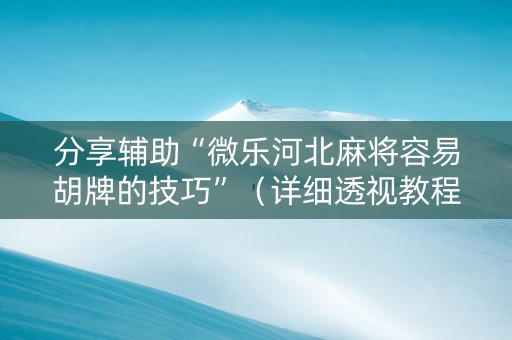 分享辅助“微乐河北麻将容易胡牌的技巧”（详细透视教程）-哔哩哔哩