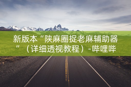 新版本“陕麻圈捉老麻辅助器”（详细透视教程）-哔哩哔哩
