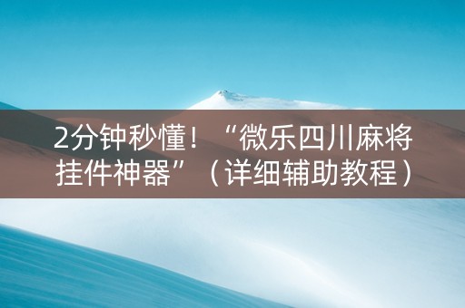2分钟秒懂！“微乐四川麻将挂件神器”（详细辅助教程）-哔哩哔哩
