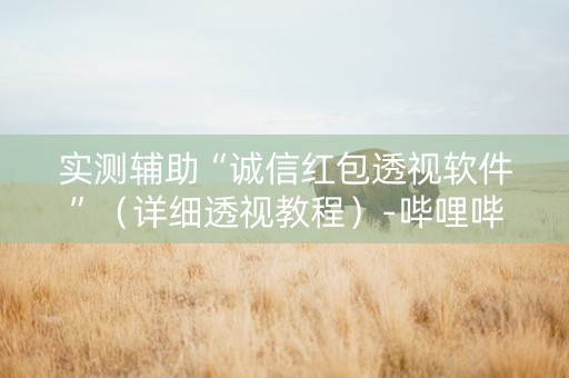 实测辅助“诚信红包透视软件”（详细透视教程）-哔哩哔哩