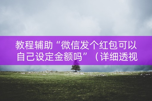 教程辅助“微信发个红包可以自己设定金额吗”（详细透视教程）-哔哩哔哩