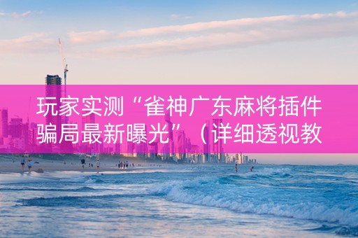 玩家实测“雀神广东麻将插件骗局最新曝光”（详细透视教程）-哔哩哔哩