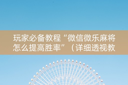 玩家必备教程“微信微乐麻将怎么提高胜率”（详细透视教程）-哔哩哔哩