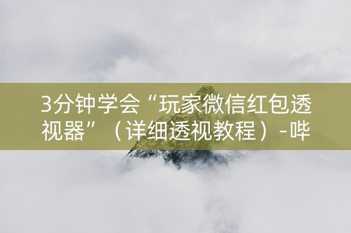 3分钟学会“玩家微信红包透视器”（详细透视教程）-哔哩哔哩