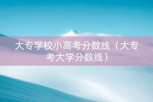 大专学校小高考分数线（大专考大学分数线）