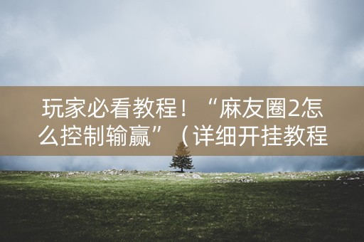 玩家必看教程！“麻友圈2怎么控制输赢”（详细开挂教程）-哔哩哔哩