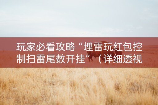 玩家必看攻略“埋雷玩红包控制扫雷尾数开挂”（详细透视教程）-哔哩哔哩
