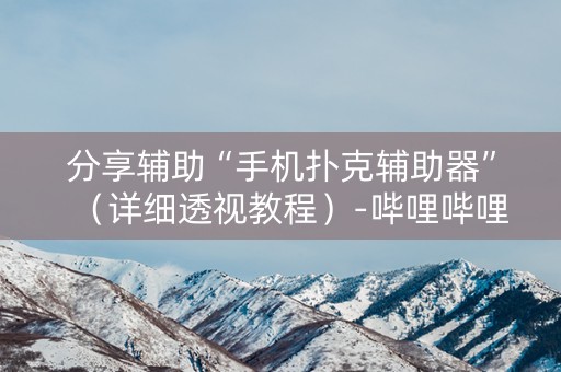 分享辅助“手机扑克辅助器”（详细透视教程）-哔哩哔哩