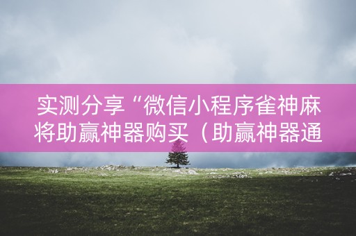 实测分享“微信小程序雀神麻将助赢神器购买（助赢神器通用版）