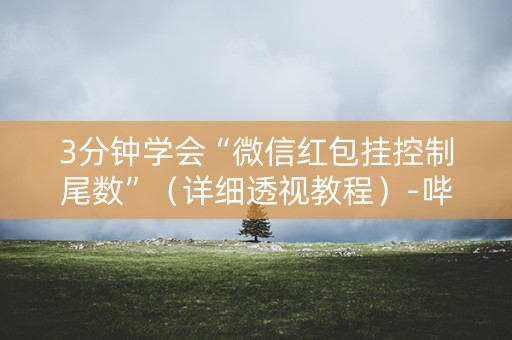 3分钟学会“微信红包挂控制尾数”（详细透视教程）-哔哩哔哩