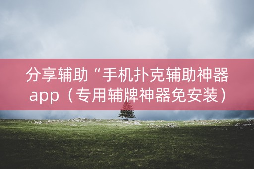 分享辅助“手机扑克辅助神器app（专用辅牌神器免安装）