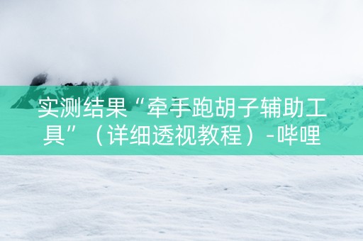 实测结果“牵手跑胡子辅助工具”（详细透视教程）-哔哩哔哩