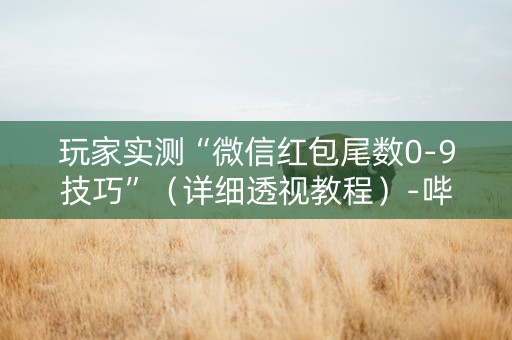 玩家实测“微信红包尾数0-9技巧”（详细透视教程）-哔哩哔哩