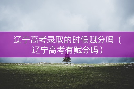 辽宁高考录取的时候赋分吗（辽宁高考有赋分吗）