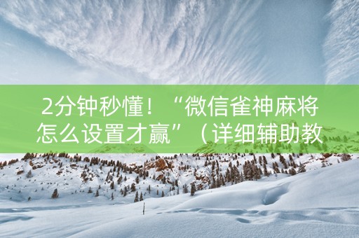 2分钟秒懂！“微信雀神麻将怎么设置才赢”（详细辅助教程）-哔哩哔哩
