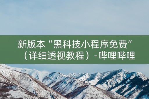 新版本“黑科技小程序免费”（详细透视教程）-哔哩哔哩