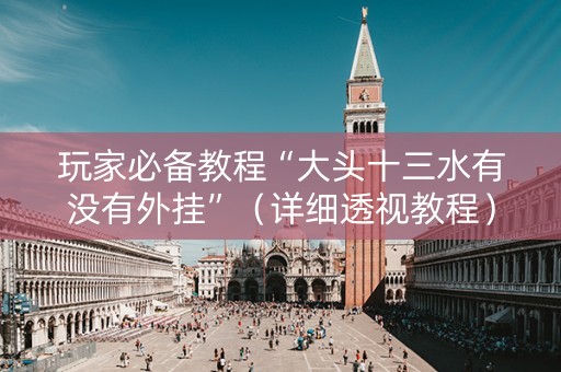 玩家必备教程“大头十三水有没有外挂”（详细透视教程）-哔哩哔哩