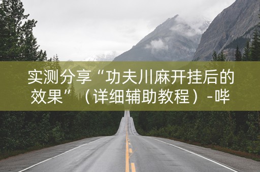 实测分享“功夫川麻开挂后的效果”（详细辅助教程）-哔哩哔哩