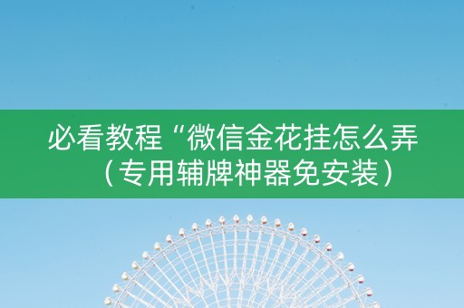 必看教程“微信金花挂怎么弄（专用辅牌神器免安装）