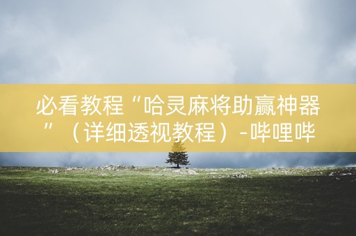 必看教程“哈灵麻将助赢神器”（详细透视教程）-哔哩哔哩