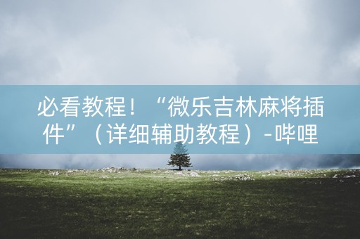 必看教程！“微乐吉林麻将插件”（详细辅助教程）-哔哩哔哩