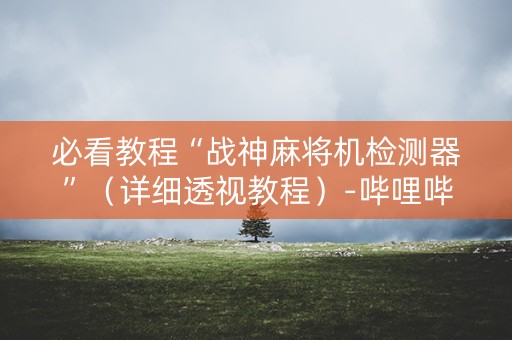 必看教程“战神麻将机检测器”（详细透视教程）-哔哩哔哩