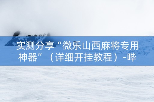 实测分享“微乐山西麻将专用神器”（详细开挂教程）-哔哩哔哩