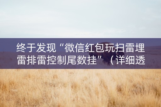 终于发现“微信红包玩扫雷埋雷排雷控制尾数挂”（详细透视教程）-哔哩哔哩