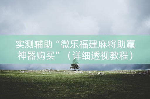 实测辅助“微乐福建麻将助赢神器购买”（详细透视教程）-哔哩哔哩
