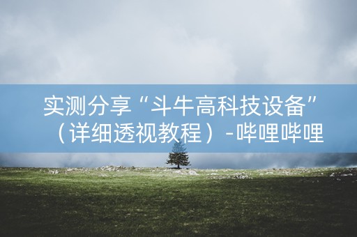 实测分享“斗牛高科技设备”（详细透视教程）-哔哩哔哩
