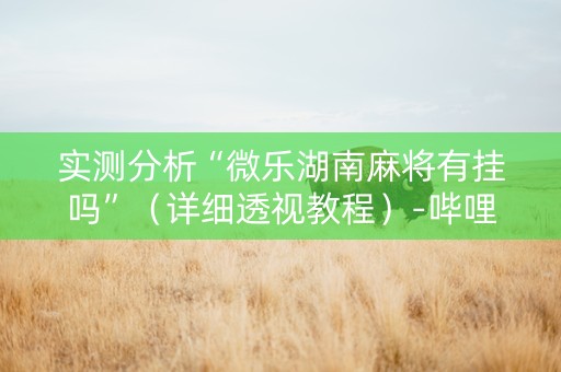 实测分析“微乐湖南麻将有挂吗”（详细透视教程）-哔哩哔哩