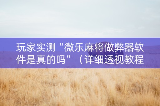 玩家实测“微乐麻将做弊器软件是真的吗”（详细透视教程）-哔哩哔哩