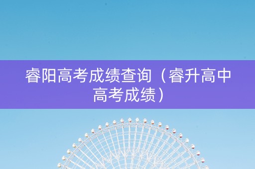 睿阳高考成绩查询（睿升高中高考成绩）
