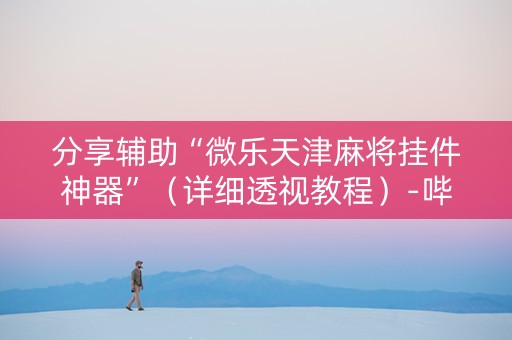 分享辅助“微乐天津麻将挂件神器”（详细透视教程）-哔哩哔哩