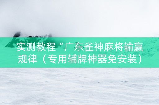 实测教程“广东雀神麻将输赢规律（专用辅牌神器免安装）