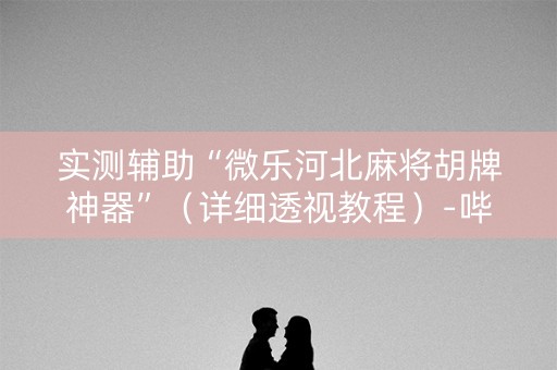 实测辅助“微乐河北麻将胡牌神器”（详细透视教程）-哔哩哔哩