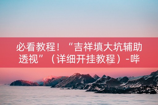 必看教程！“吉祥填大坑辅助透视”（详细开挂教程）-哔哩哔哩