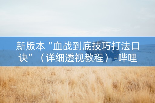 新版本“血战到底技巧打法口诀”（详细透视教程）-哔哩哔哩