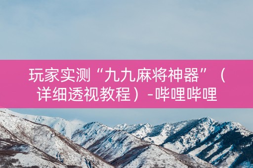 玩家实测“九九麻将神器”（详细透视教程）-哔哩哔哩