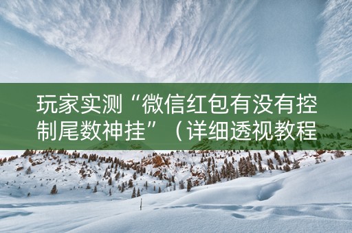玩家实测“微信红包有没有控制尾数神挂”（详细透视教程）-哔哩哔哩