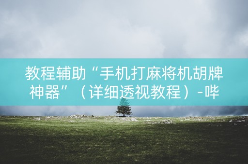 教程辅助“手机打麻将机胡牌神器”（详细透视教程）-哔哩哔哩