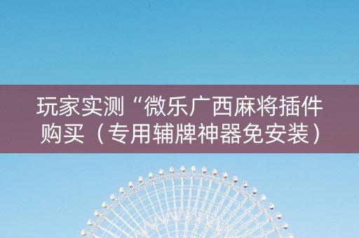 玩家实测“微乐广西麻将插件购买（专用辅牌神器免安装）
