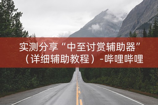 实测分享“中至讨赏辅助器”（详细辅助教程）-哔哩哔哩