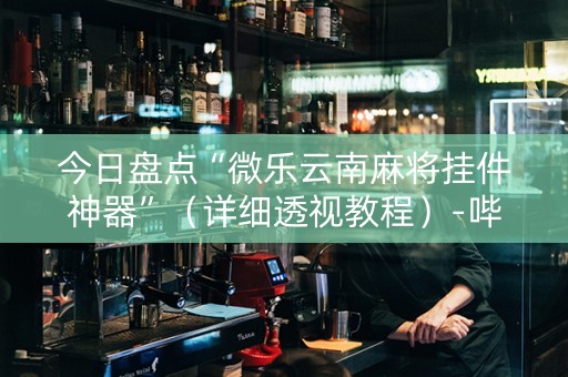 今日盘点“微乐云南麻将挂件神器”（详细透视教程）-哔哩哔哩