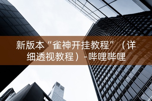 新版本“雀神开挂教程”（详细透视教程）-哔哩哔哩