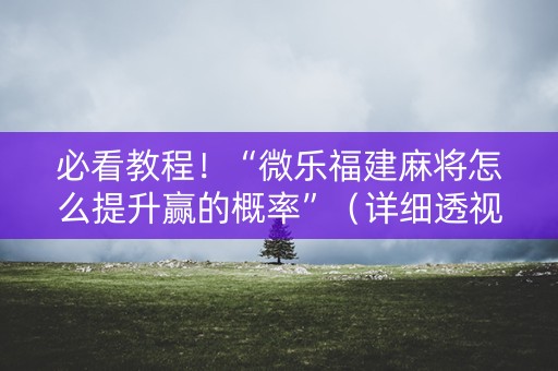 必看教程！“微乐福建麻将怎么提升赢的概率”（详细透视教程）-哔哩哔哩