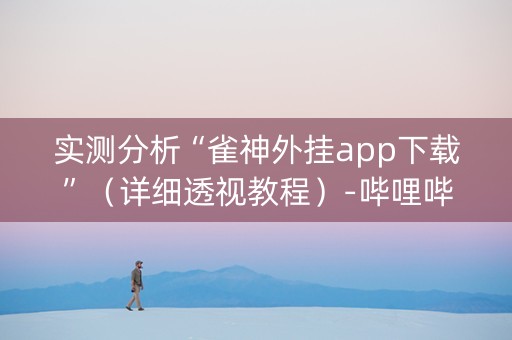 实测分析“雀神外挂app下载”（详细透视教程）-哔哩哔哩