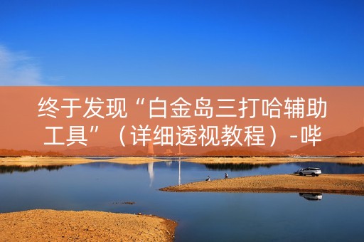 终于发现“白金岛三打哈辅助工具”（详细透视教程）-哔哩哔哩